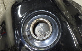 HONDA HORNET 250 2024 MC31