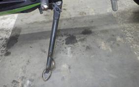 KAWASAKI NINJA 250 2025 EX250L