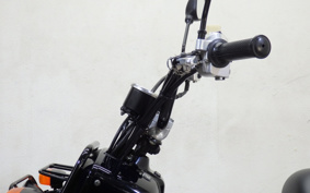 HONDA ZUMAR AF58