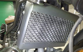 HONDA REBEL 250 S 2025 MC49