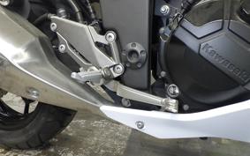 KAWASAKI Z250 2021 ER250C