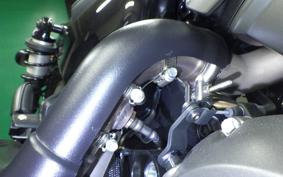HARLEY RH975S 2024