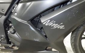 KAWASAKI NINJA 250R 2017 EX250K