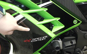 KAWASAKI NINJA 250 ABS 2021 EX250L