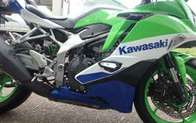 KAWASAKI NINJA ZX-4RR KRT ED 2024 ZX400P