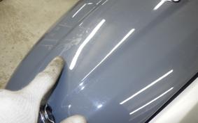 DUCATI SCRAMBLER 1100 SPA 2019