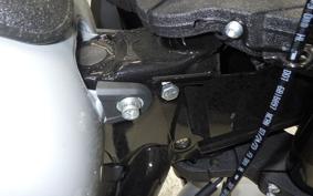 HARLEY FXLRST1920 2025