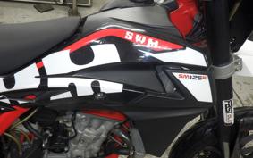 OTHER SWM SM125R 2006
