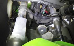 KAWASAKI NINJA 250 2009 EX250L