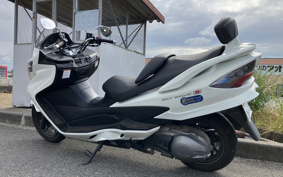 SUZUKI SKYWAVE 250S-1 CJ46A