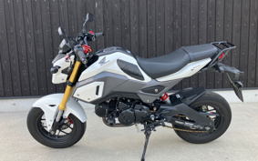 HONDA GROM JC61