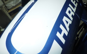 HARLEY FXLRST1920 2023