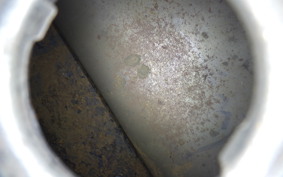 HONDA MONKEY 2026 Z50A
