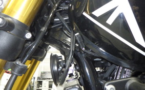 TRIUMPH SPEED400 2024