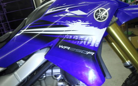 YAMAHA WR250R 2023 DG15J