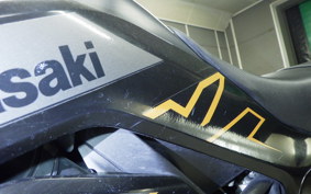 KAWASAKI KLX230SM LX230A