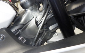 TRIUMPH DAYTONA660 2024