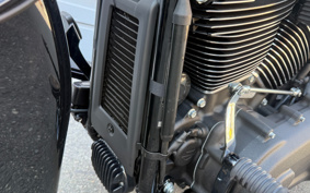 HARLEY FLHCS 2024 YBK