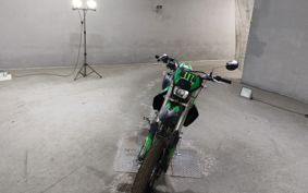 KAWASAKI D-TRACKER LX250E