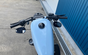 HARLEY XL883R 2010 CS2