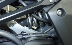 KAWASAKI NINJA 1000SX 2024 ZXT02K