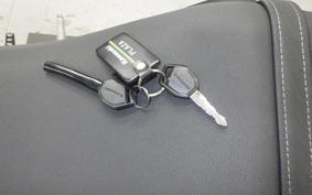 KAWASAKI Z125 PRO 2021 BR125H