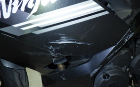 KAWASAKI NINJA 250 EX250P