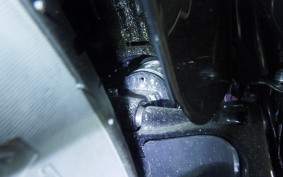 HARLEY FXBB1920 2025