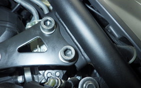 YAMAHA MT-25 2010 RG43J