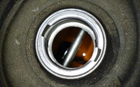 HONDA TODAY 2019 AF61