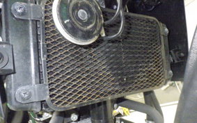 SUZUKI Vｽﾄﾛｰﾑ250A 2007