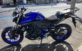 YAMAHA MT-25 RG43J