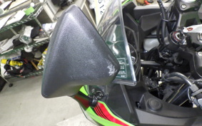 KAWASAKI NINJA 250 2