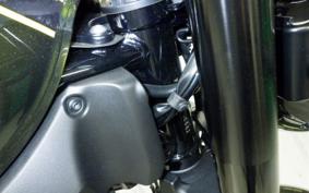 KAWASAKI Z900RS 2021 ZR900C