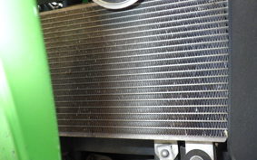 KAWASAKI NINJA 250 EX250L