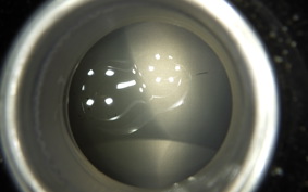 HONDA REBEL 1100 SC83