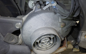 HONDA TODAY 2021 AF61