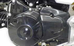HONDA GROM 1981