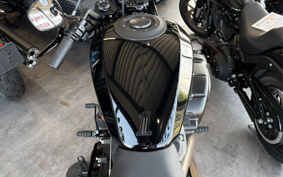HARLEY FXDR114 2019 YVK
