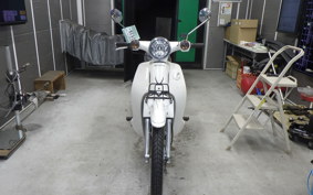 HONDA C110 SUPER CUB 2019 JA07