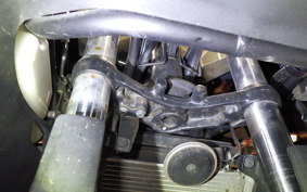 KAWASAKI NINJA 250 EX250L