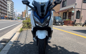 HONDA FORZA 250 4019