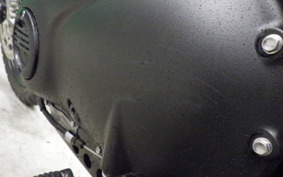 TRIUMPH SCRAMBLER 900 2025