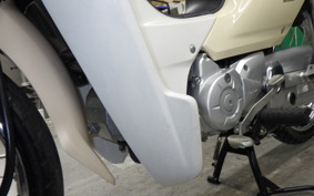 HONDA C110 SUPER CUB 2005 JA10