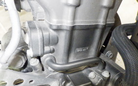 HONDA REBEL 250 2009 MC49