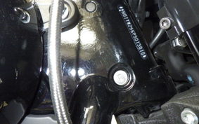 HARLEY FXLRS1920 2023