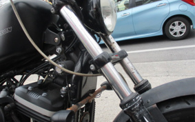 HARLEY XL883N 2010 LE2
