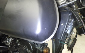 OTHER +MUTT250