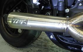 HARLEY FXLRST1920 2022