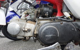 HONDA GORILLA